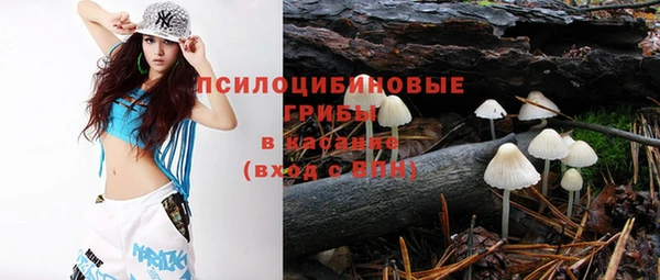 спиды Алексин