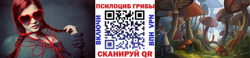 Псилоцибиновые грибы прущие грибы  Далматово 